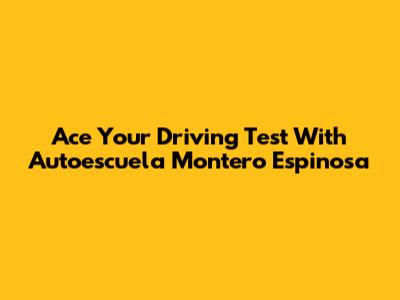 Ace Your Driving Test With Autoescuela Montero Espinosa