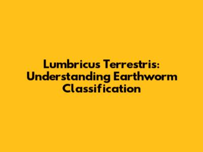 Lumbricus Terrestris: Understanding Earthworm Classification