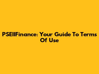PSEIIFinance: Your Guide To Terms Of Use