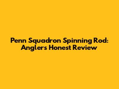 Penn Squadron Spinning Rod: Angler's Honest Review