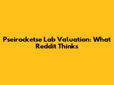 Pseirocketse Lab Valuation: What Reddit Thinks